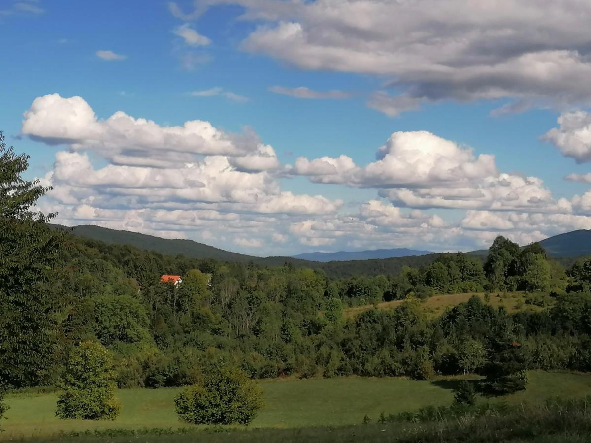PLITVICE KONAK Daic Plitvicka Jezera Bagian luar foto